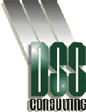 DSS Consulting Ltd. is a business and information systems consulting company specializing in the introduction and the application of decision support systems.